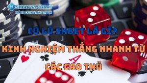 Cù Lũ SHBet Là Gì? Kinh Nghiệm Thắng Nhanh Từ Các Cao Thủ